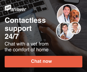 JustAnswer: chat with a vet online